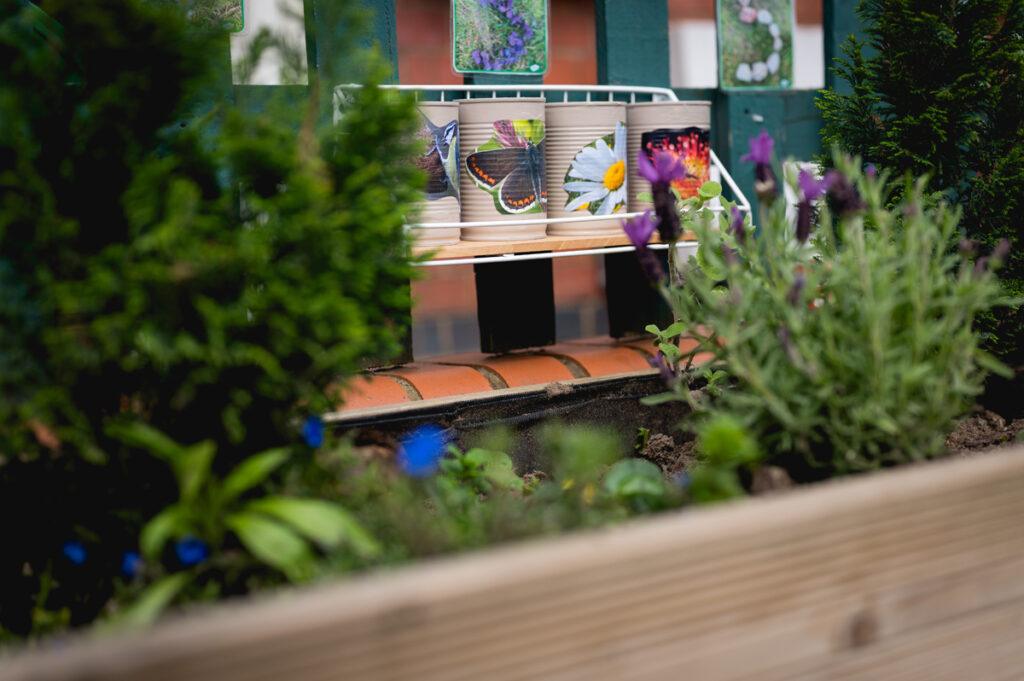 Tommies Westhill Nursery -9